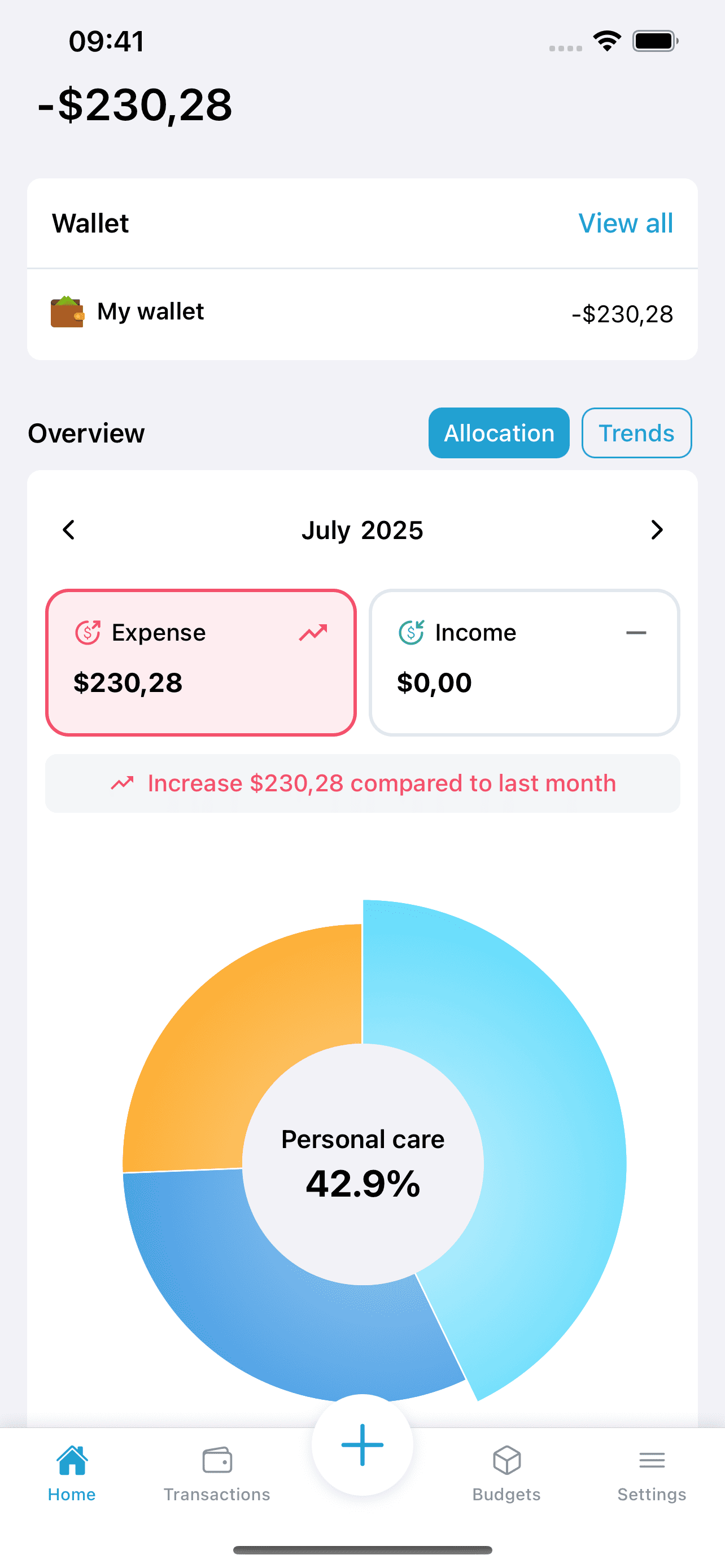 Budget Overview