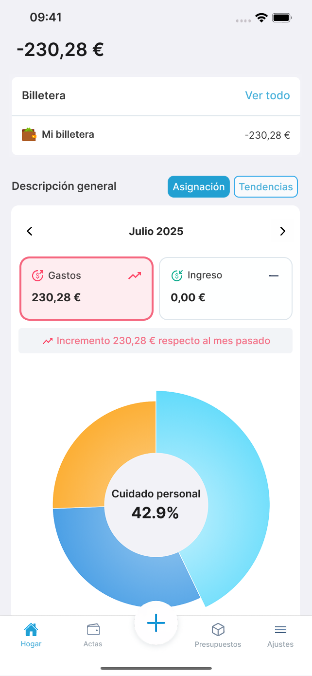 Budget Overview