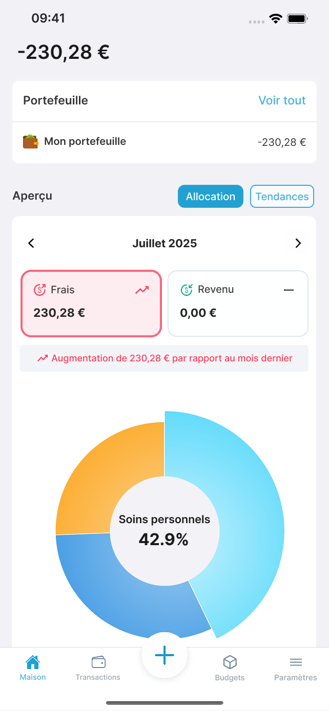 Budget Overview